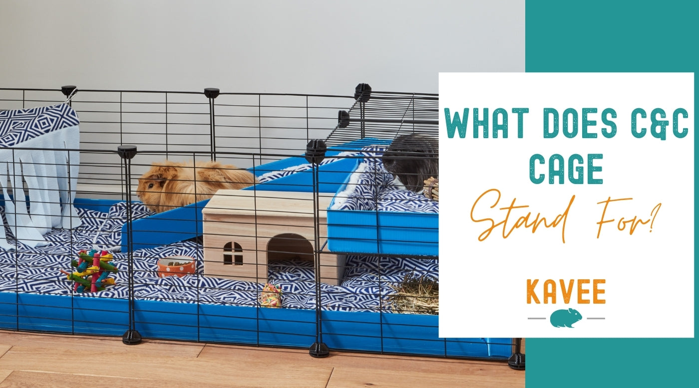 What does C&C cage stand for? Kavee Blog Uk