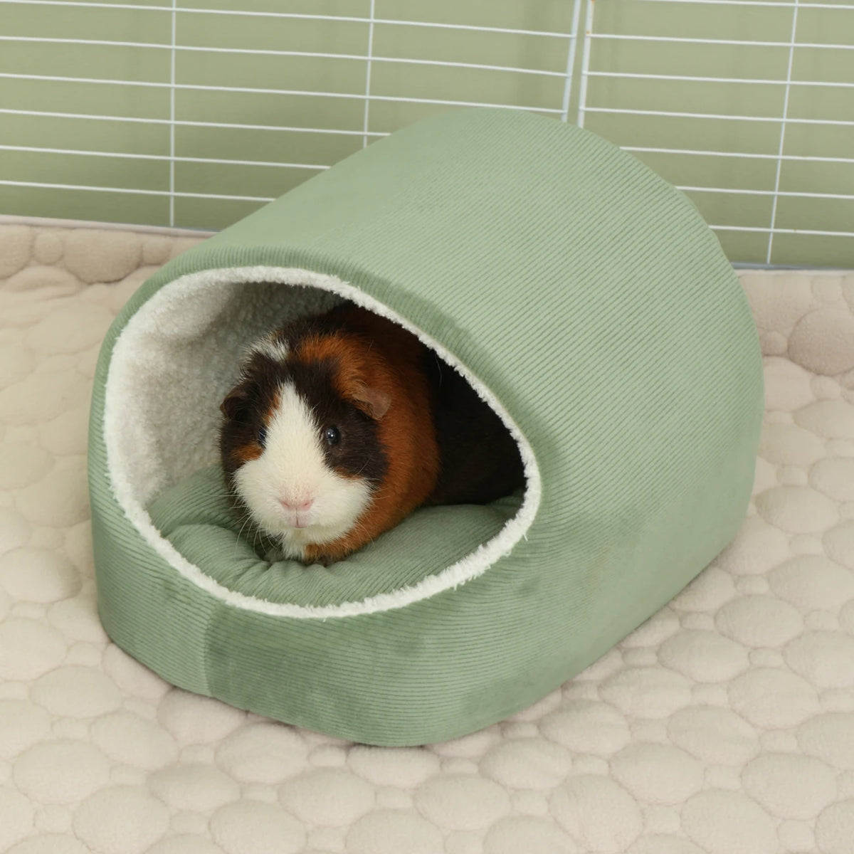 The Nest™ in Sage, in a guinea pig habitat