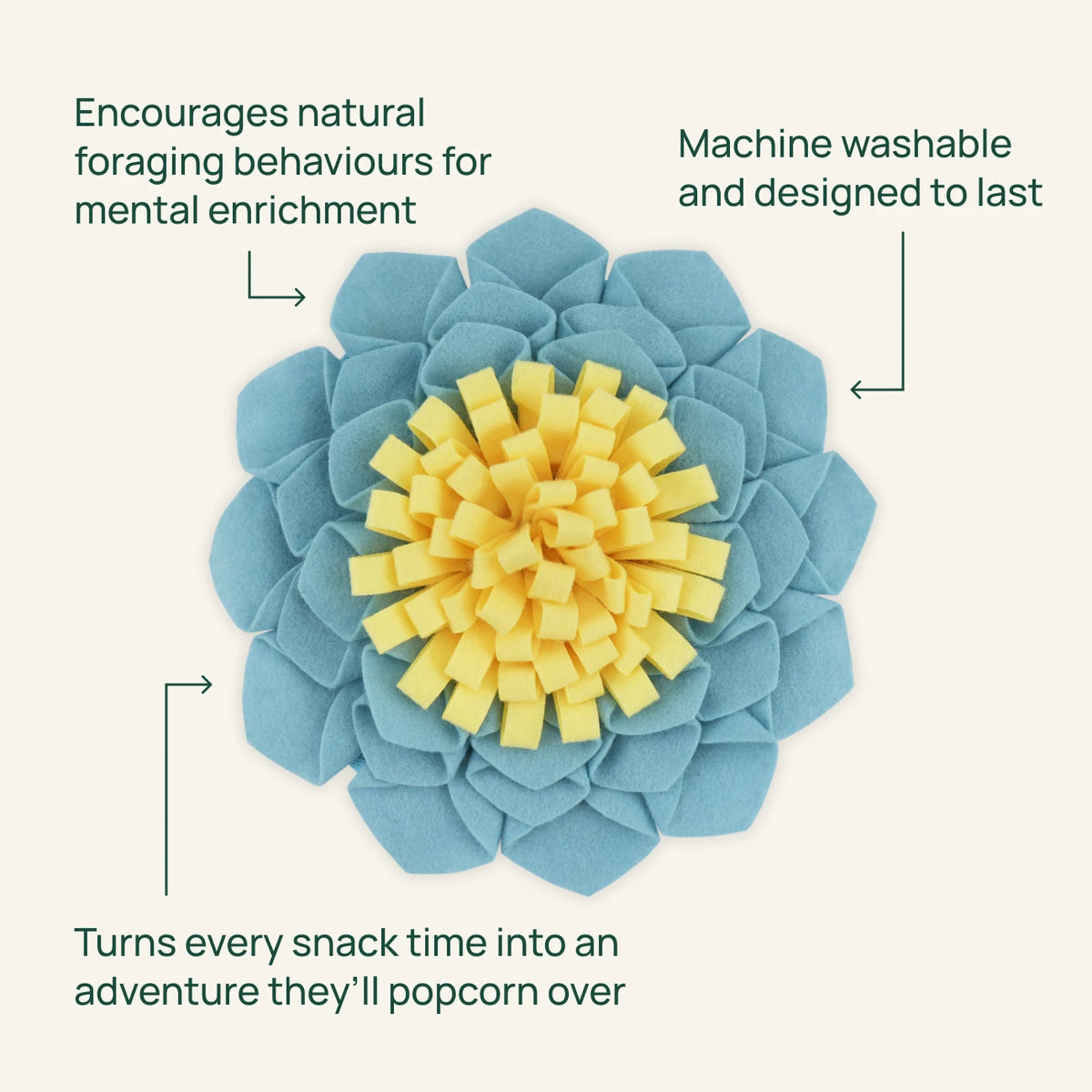 The Foraging Flower, features