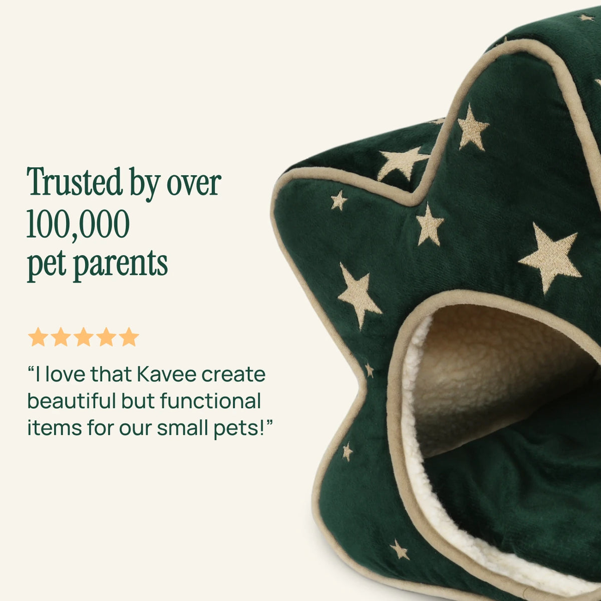 The Christmas Star Hide, customer review