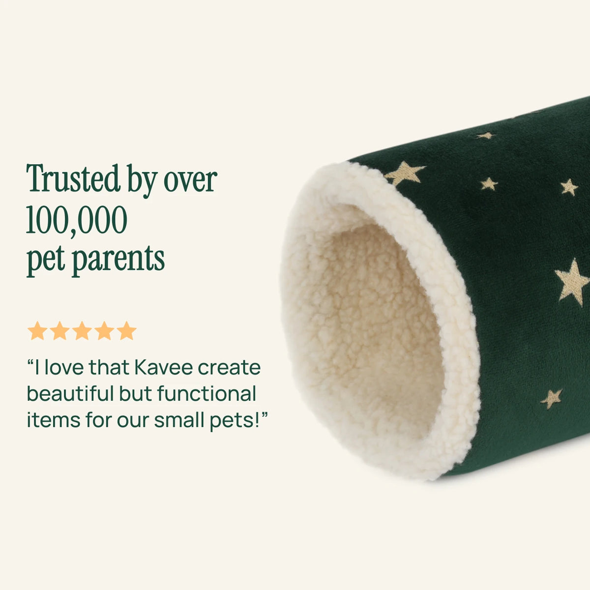 The Christmas Tunnel, customer review