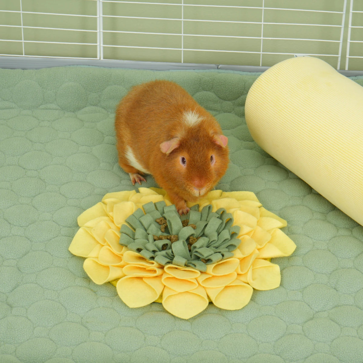 The Foraging Flower, in a guinea pig habitat
