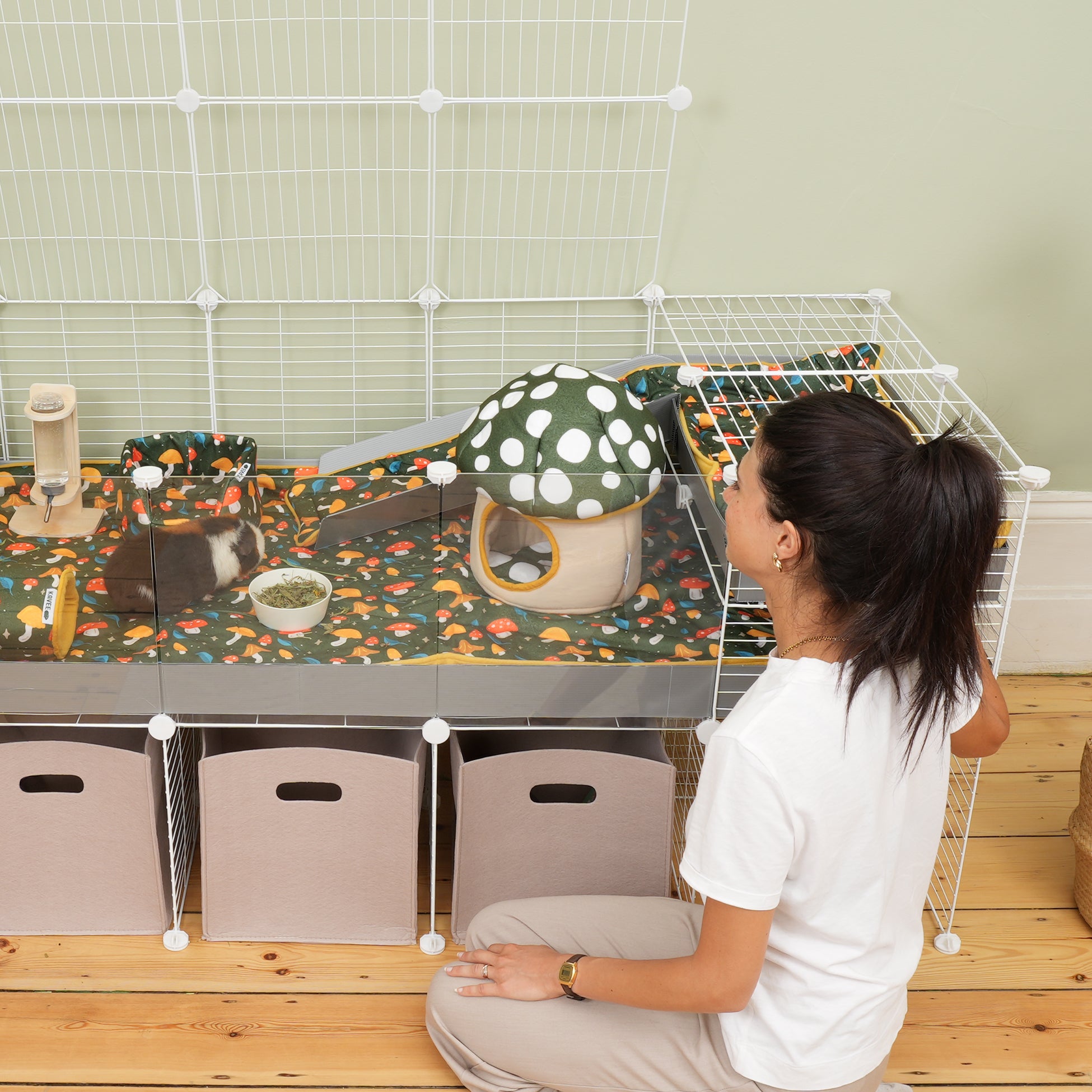 The Fungi Hide | Mushroom Collection