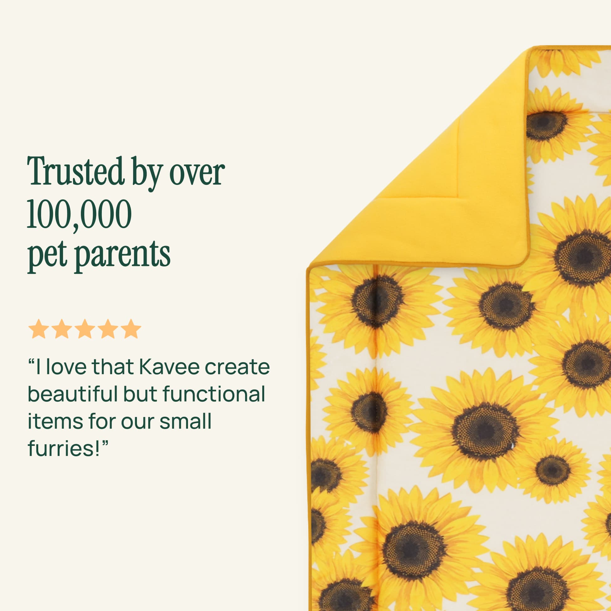 The Liner Twin Set | Sunflower Collection