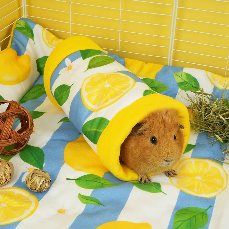 Lemon Amalfi guinea pig tunnel lifestyle shot