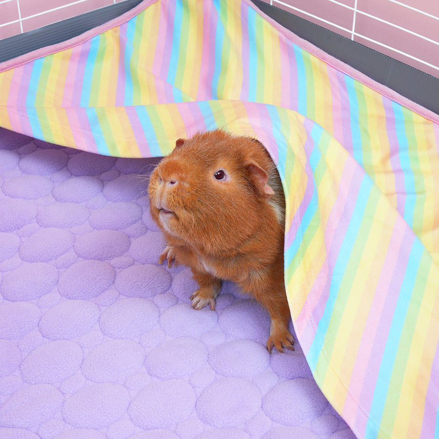 Plush Fleece Liners for Guinea Pigs | Rainbow Collection