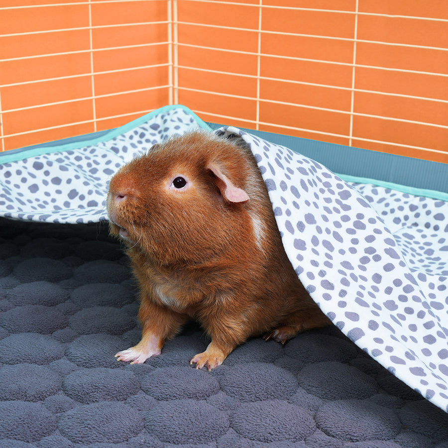 Plush Fleece Liner for Guinea Pigs | Dalmatian Collection