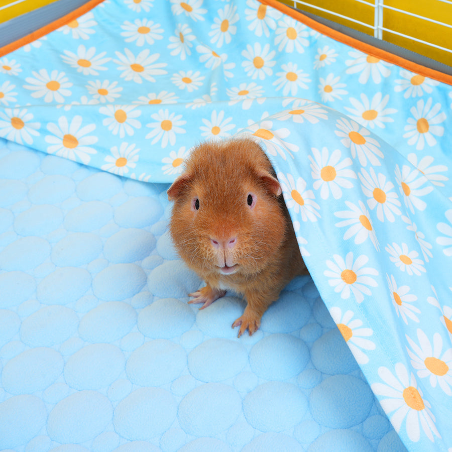 Plush Fleece Liner for Guinea Pigs | Daisy Collection