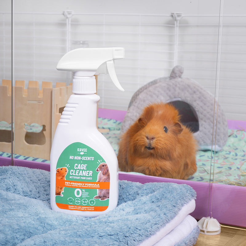 Kavee Cage Cleaner bottle in pet cage with brown guinea pig watching it through the window