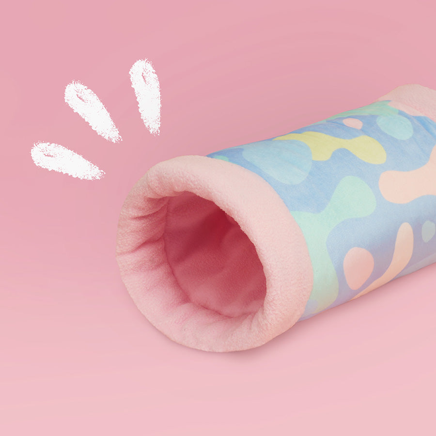 Guinea Pig Tunnel | Pigcasso