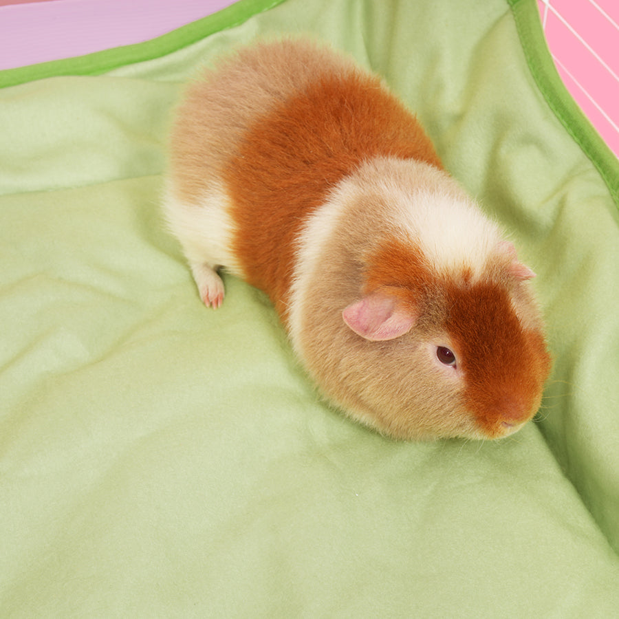 Fleece Liners | Strawberry