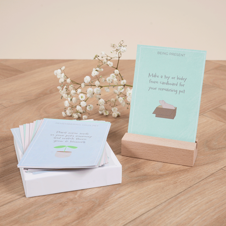 Kavee Cage Memorial set for guinea pigs and rabbits gif of affirmation cards