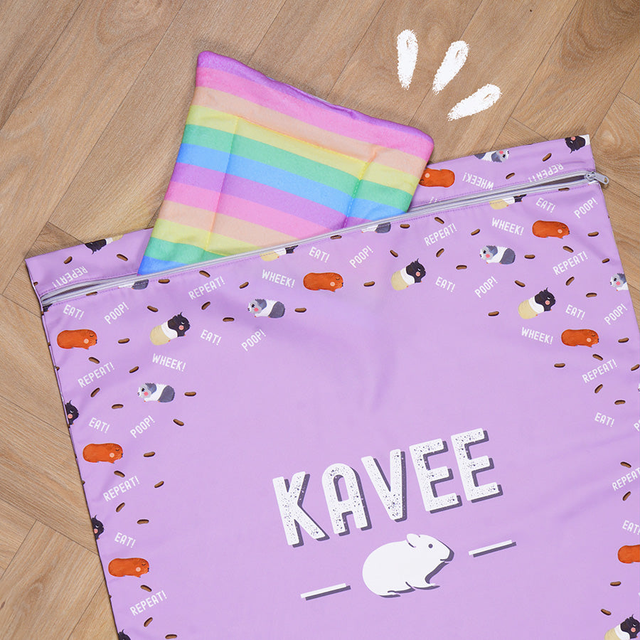 Laundry Bag