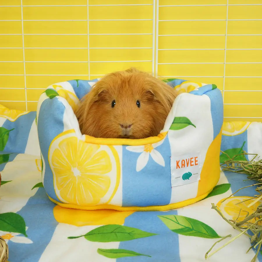 Lemon Amalfi cuddle cup lifestyle shot