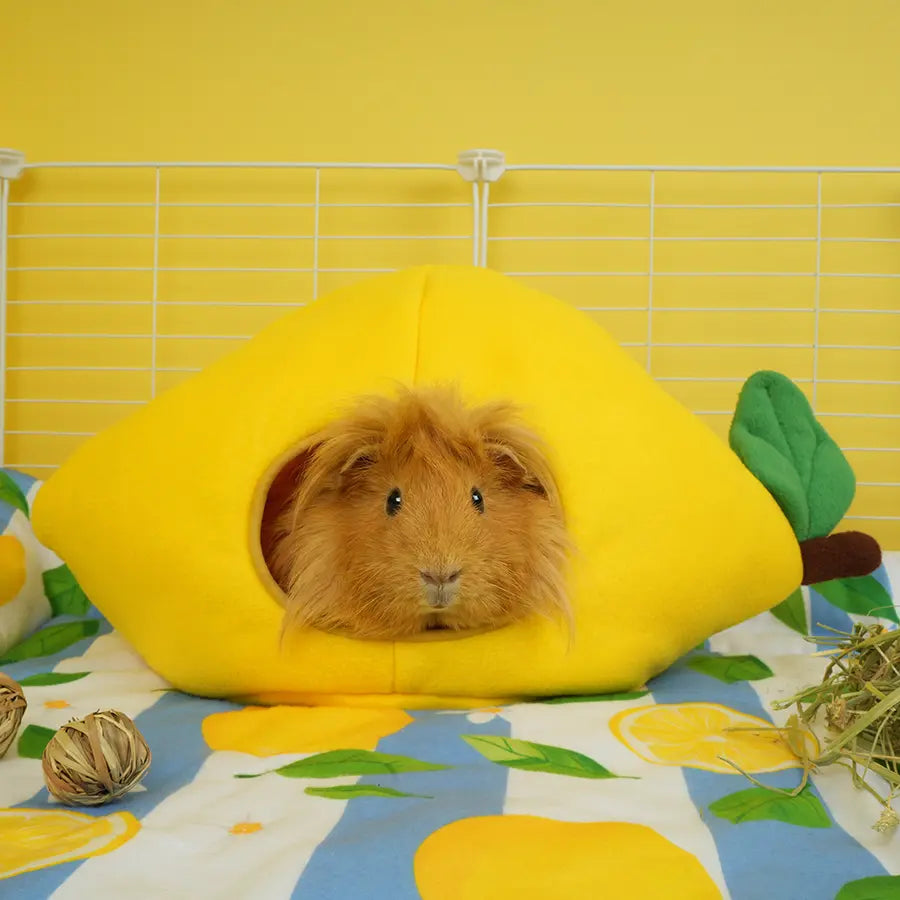 Lemon Amalfi hidey lifestyle cage shot