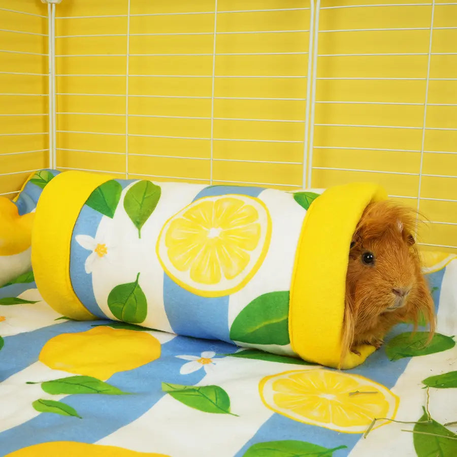 Lemon Amalfi tunnel in C&C cage lifestyle