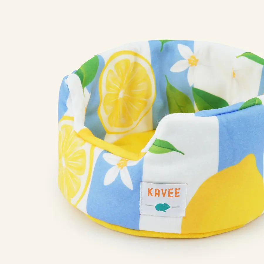 Close-up of Lemon Amalfi cuddle cup