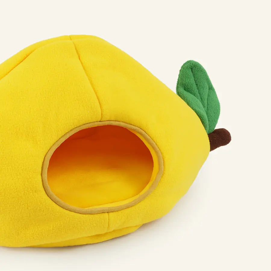 Lemon Amalfi hidey close-up product shot