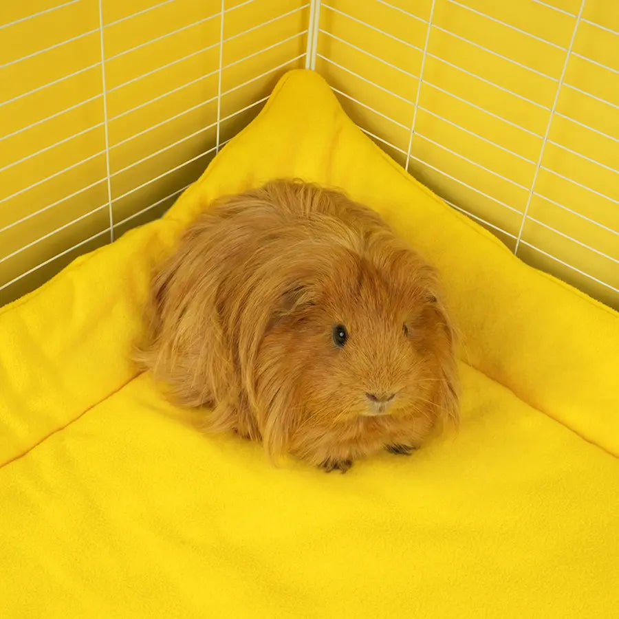 Lemon Amalfi fleece liner backing — Limoncello yellow reverse side in guinea pig cage