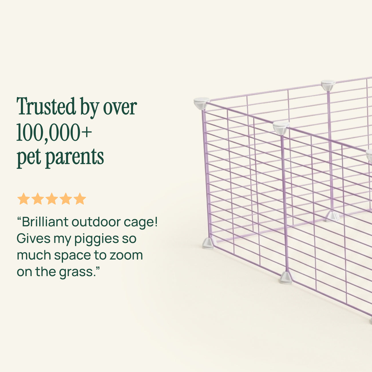 Outdoor C&C Run for Guinea Pigs