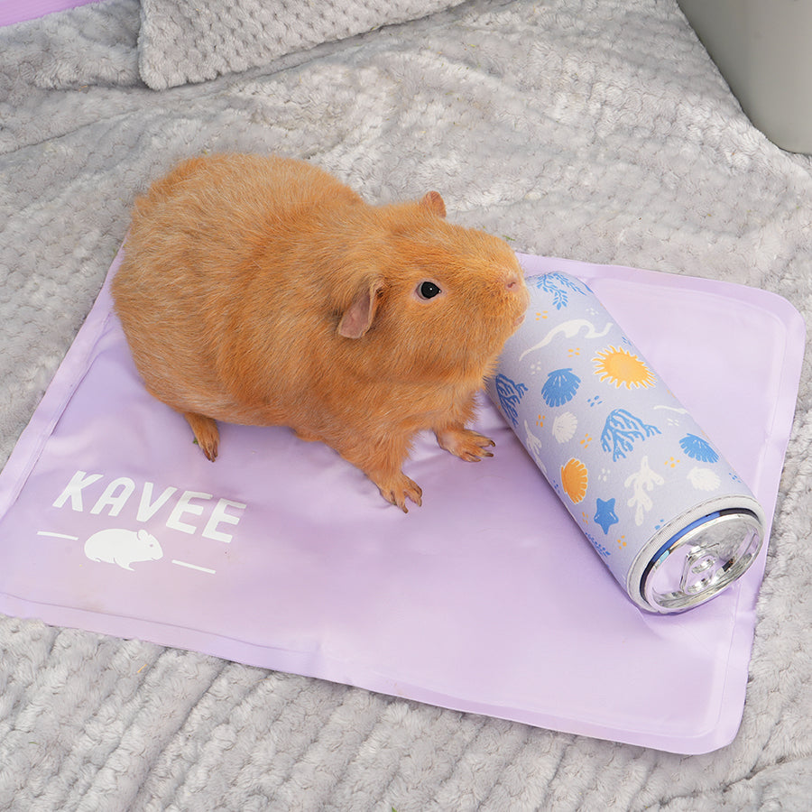 Bouteille réfrigérable pour cochons d'Inde