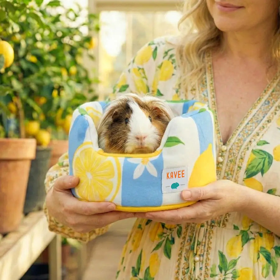 Full size Lemon Amalfi cuddle cup lifestyle