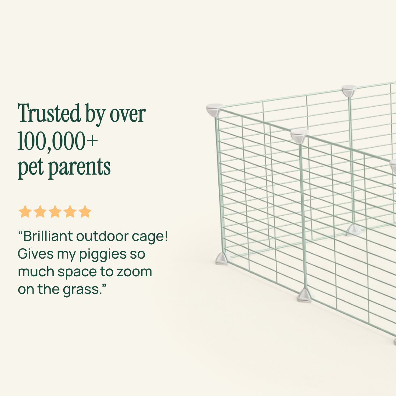 Outdoor C&C Run for Guinea Pigs