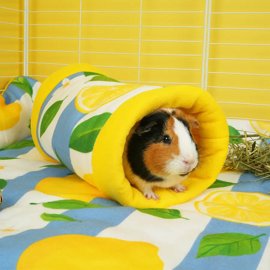 Lemon Amalfi tunnel lifestyle cage shot 2