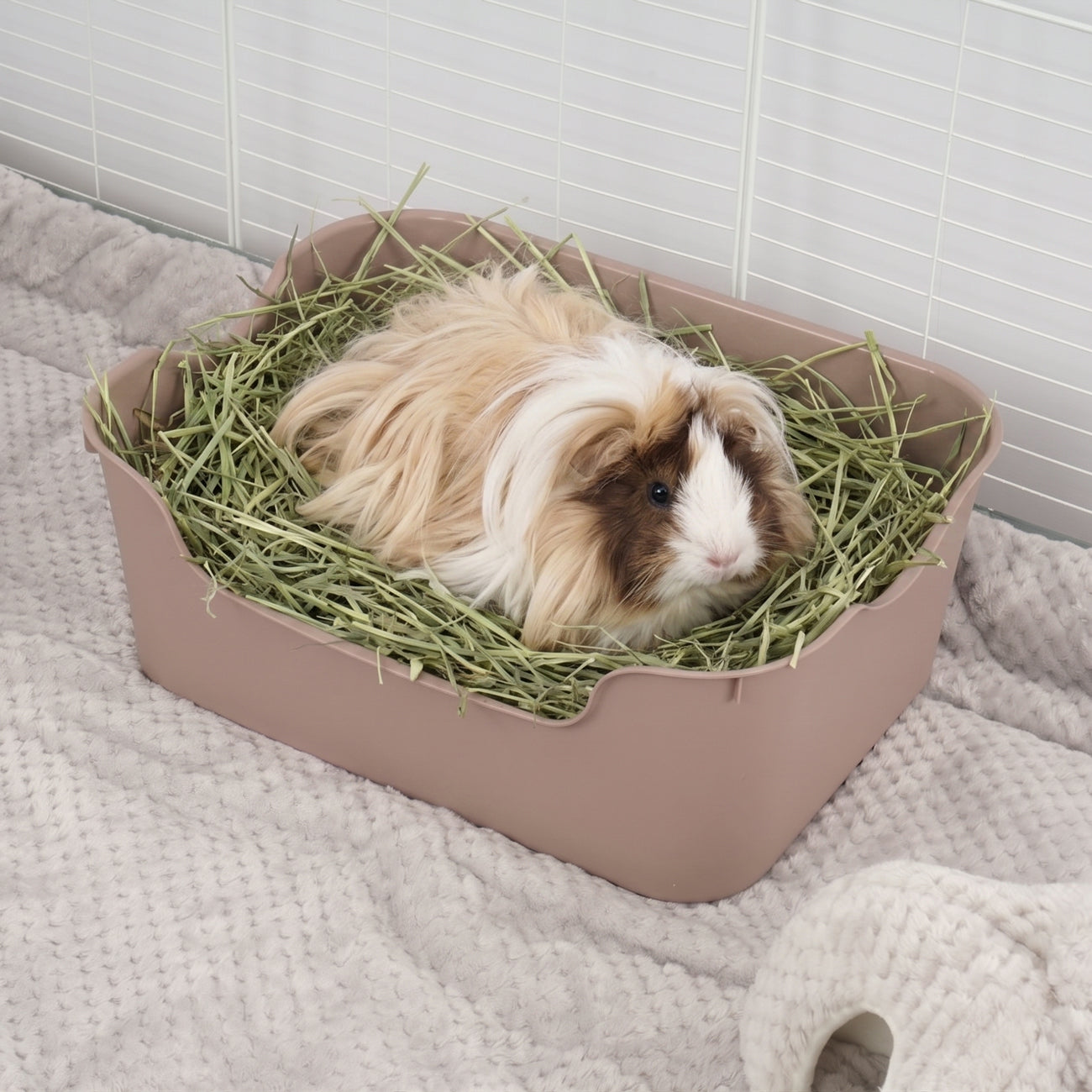 Litter Tray for Guinea Pigs and Rabbits