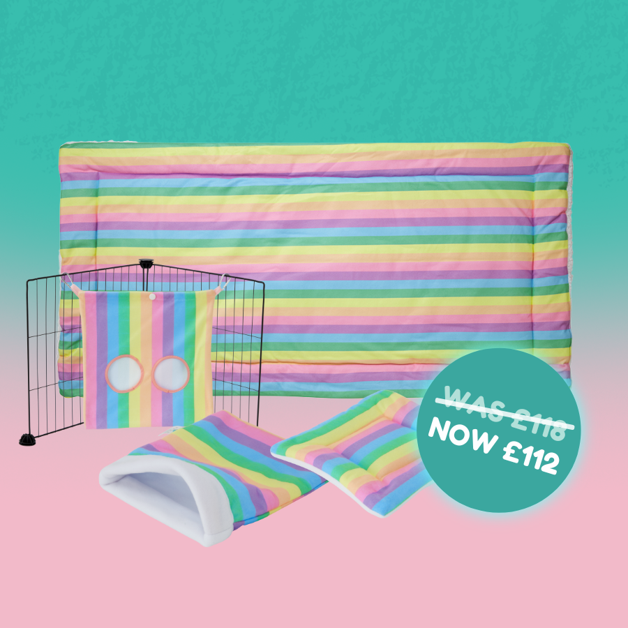 Radiant Rainbow Collection Bundle