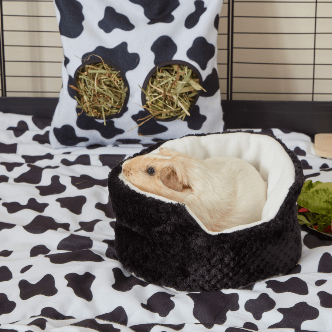 Extra Soft Cuddle Cup for Guinea Pigs | Bold Black