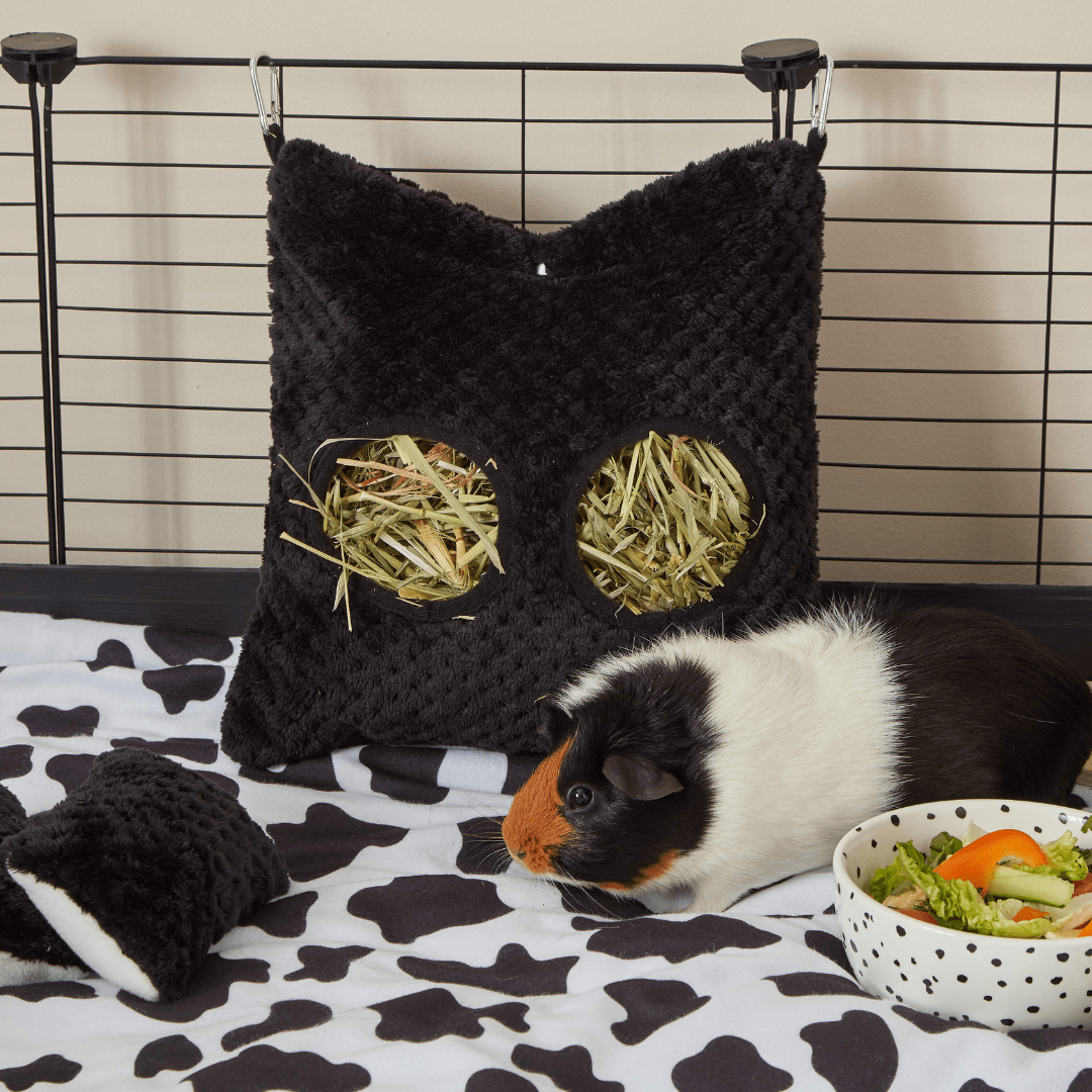 Extra Soft Hay Bag for Guinea Pigs | Bold Black