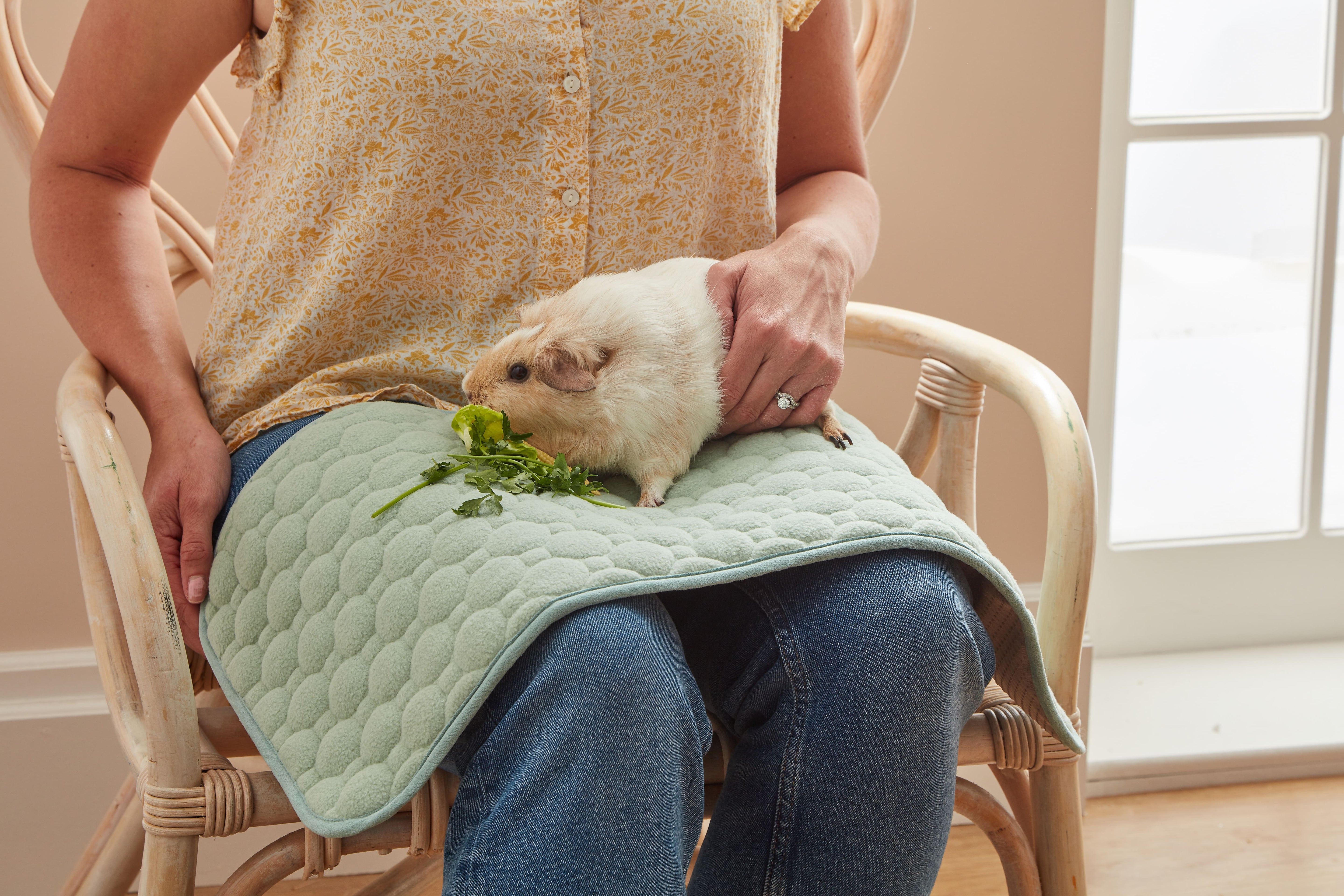 Set of 3 Lap Pads for Guinea Pigs & Rabbits