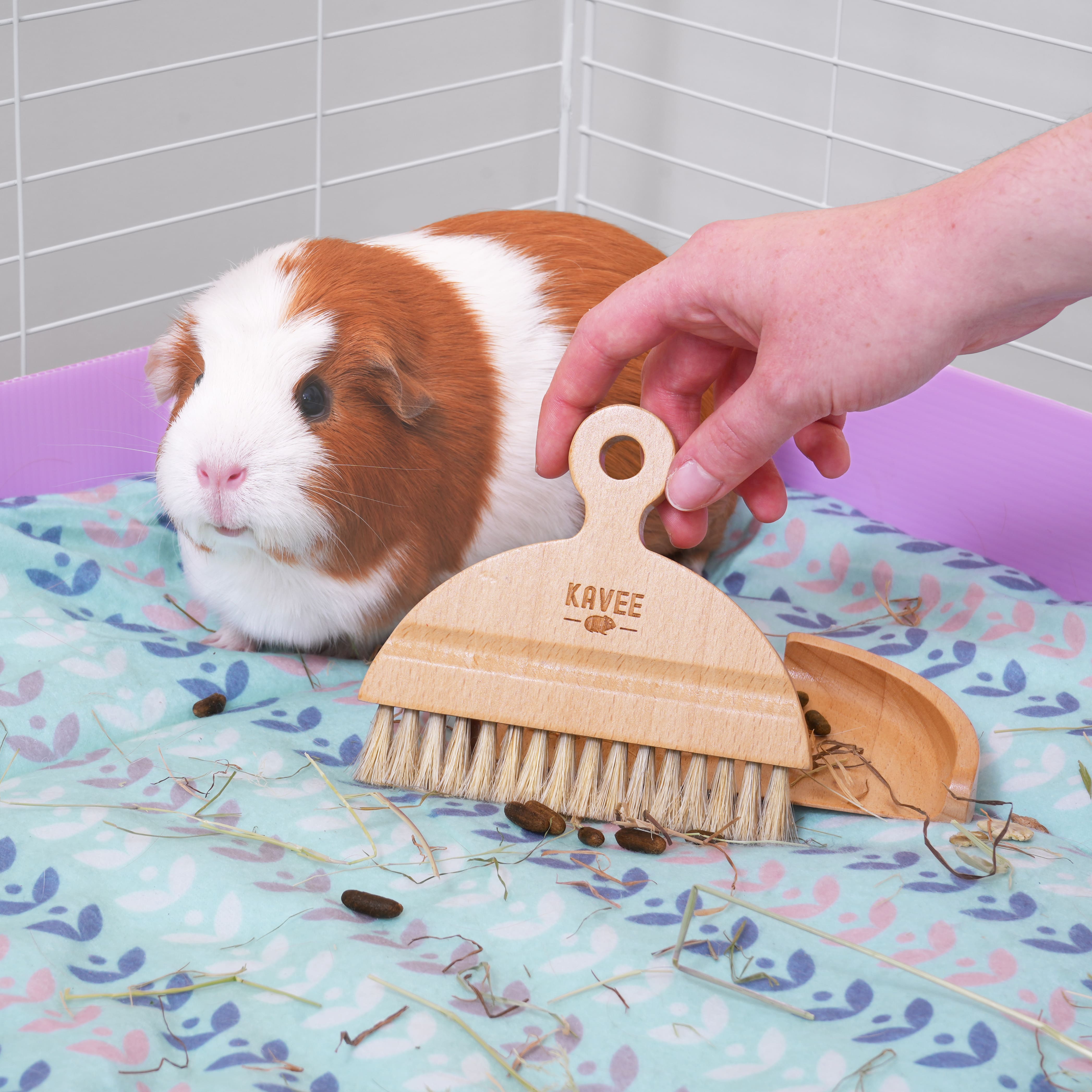 Swept Off Your Paws | Guinea Pig and Rabbit Dustpan & Brush Set