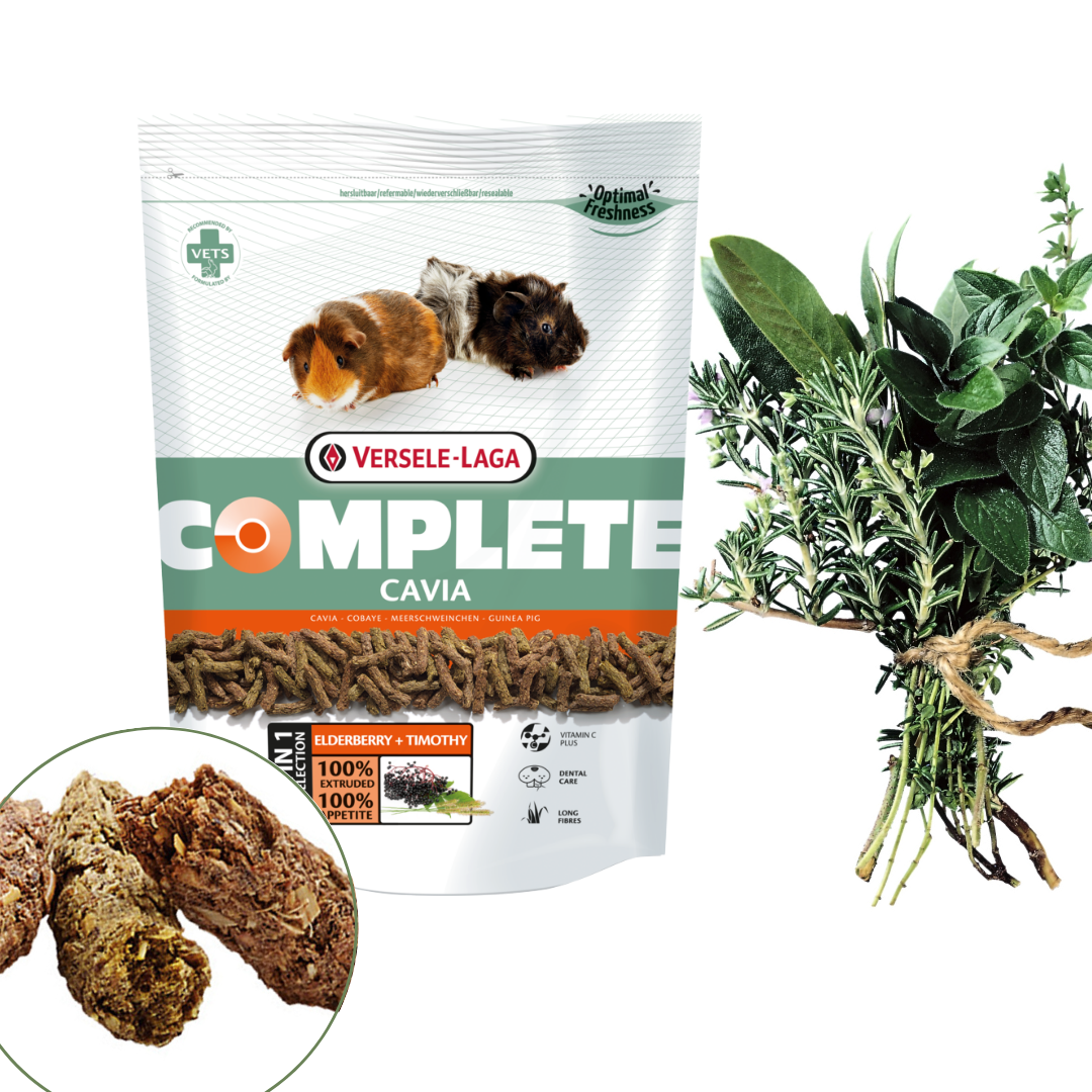 A closer look at Complete Guinea Pig Food Pellets With Probiotic Support