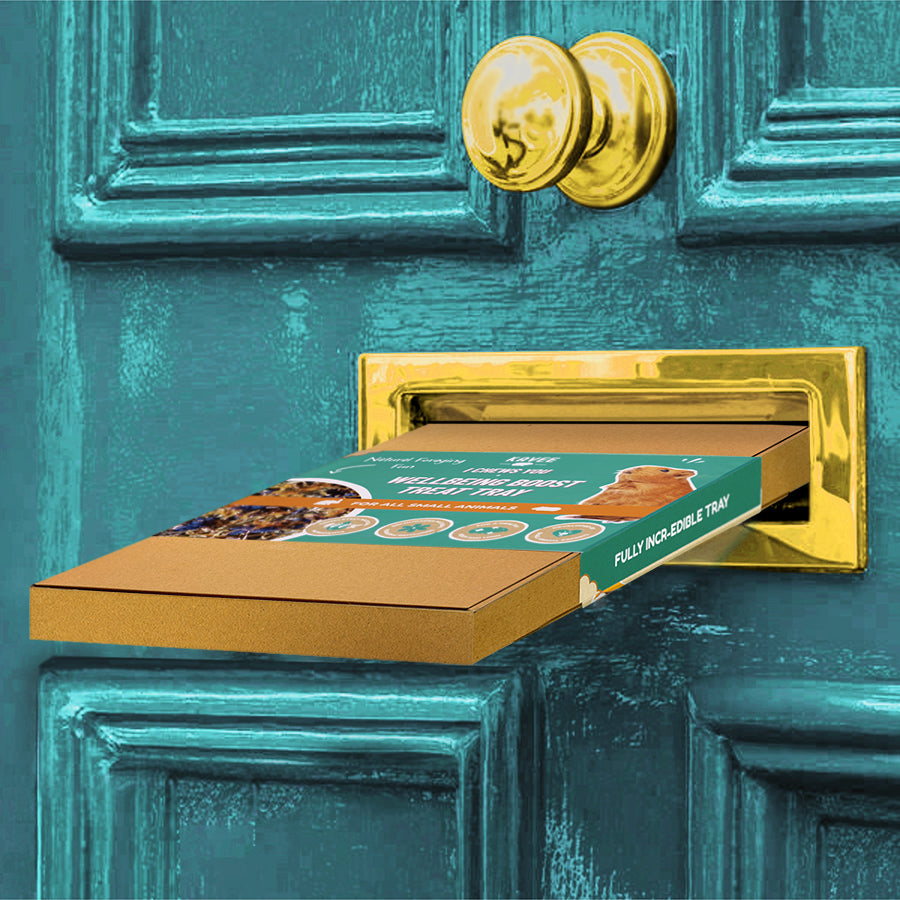 Kavee wellbeing boost tray box posting through blue front door