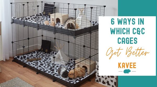 6 ways in which c&C cages for guinea pigs got better safe grids