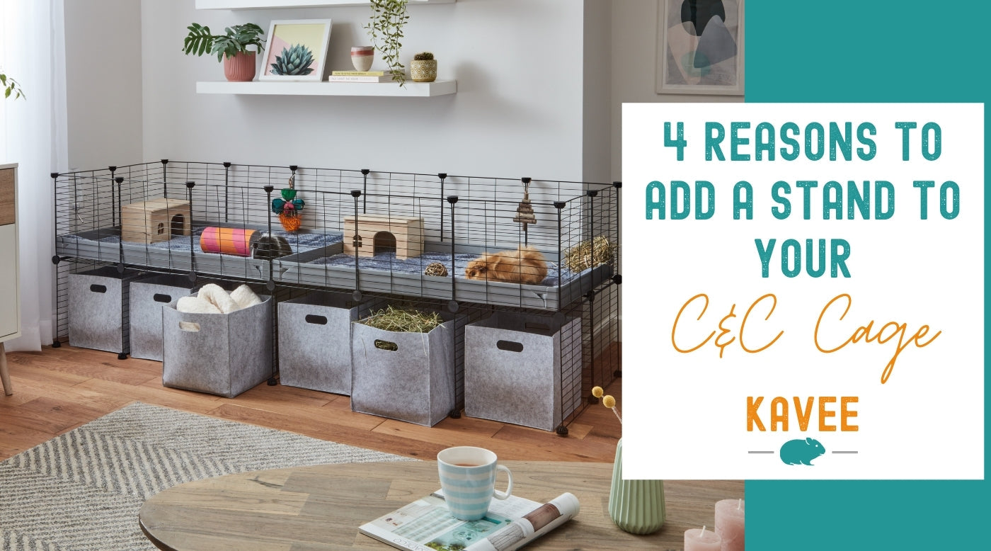 Guinea pig cage stand discount