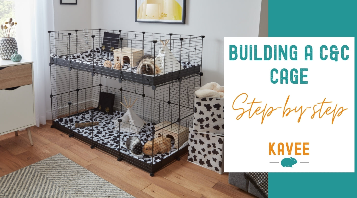 Ultimate guide to building a C&C guinea pig cage