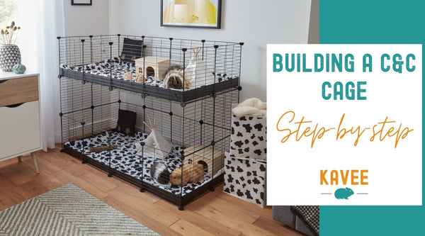 Ultimate guide to building a C&C guinea pig cage
