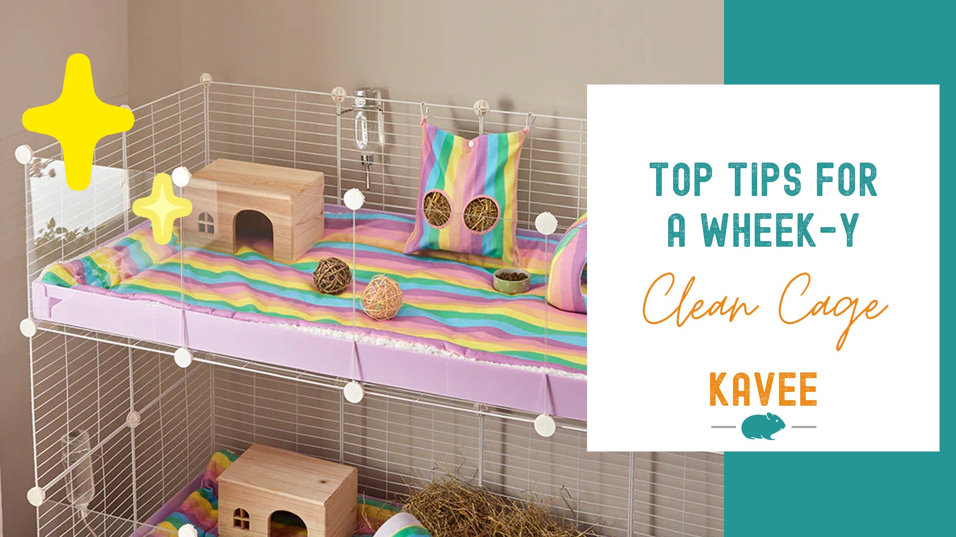 How to Keep Your Guinea Pigs’ Cage from Smelling: Top Tips for a Wheek-y Clean Cage