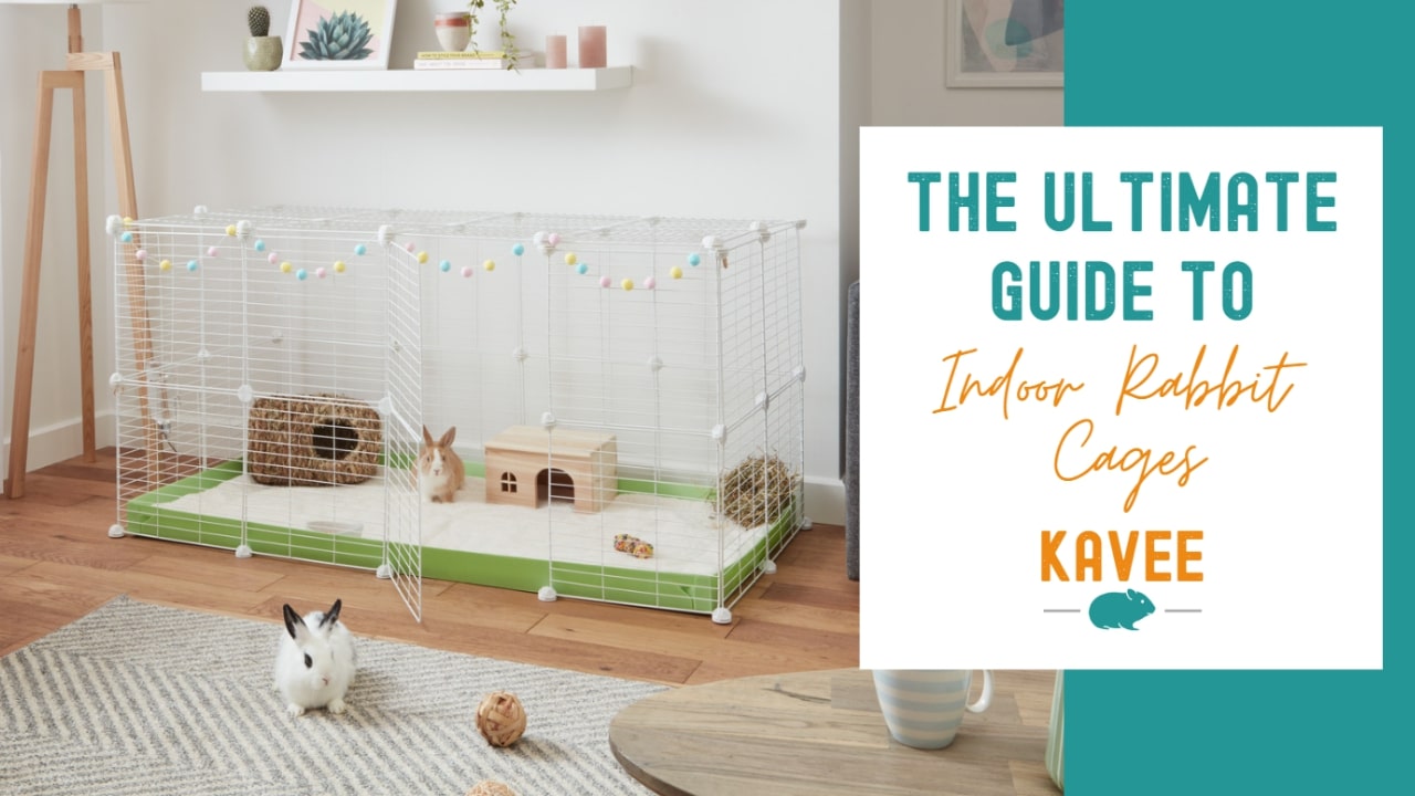 The ultimate guide to indoor rabbit cages