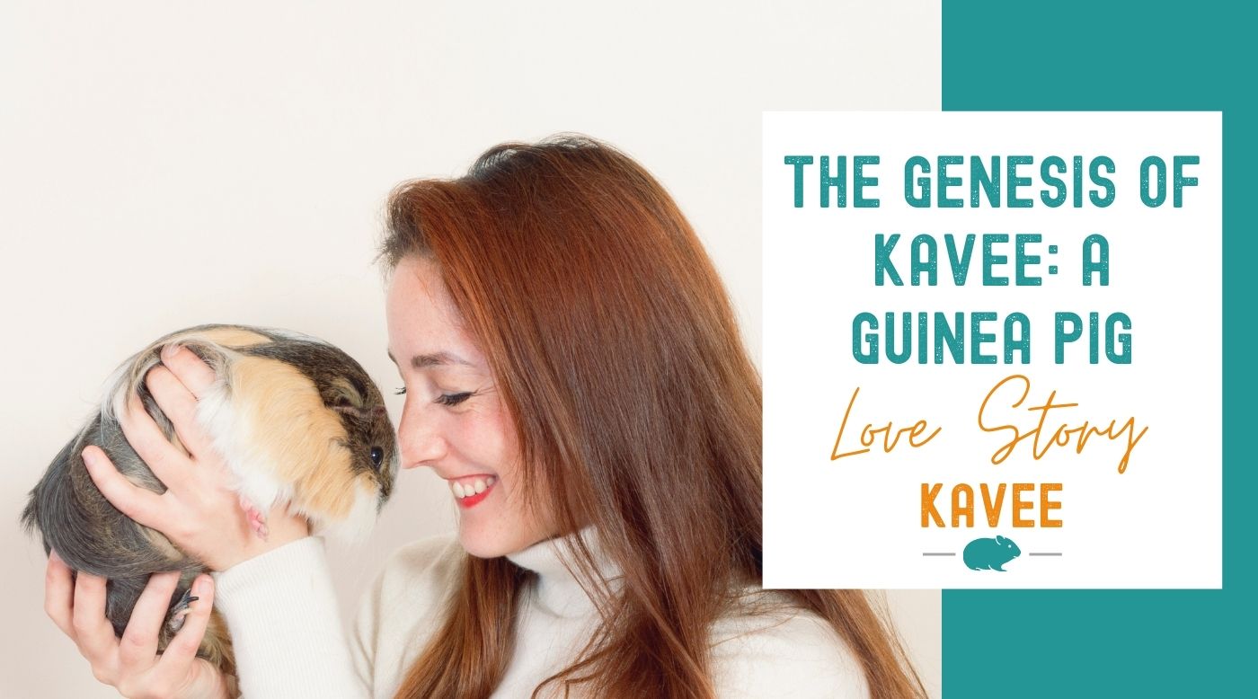 The Genesis of Kavee C C Cages A Guinea Pig Love Story