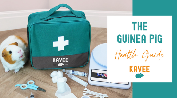 The ultimate guinea pig health guide