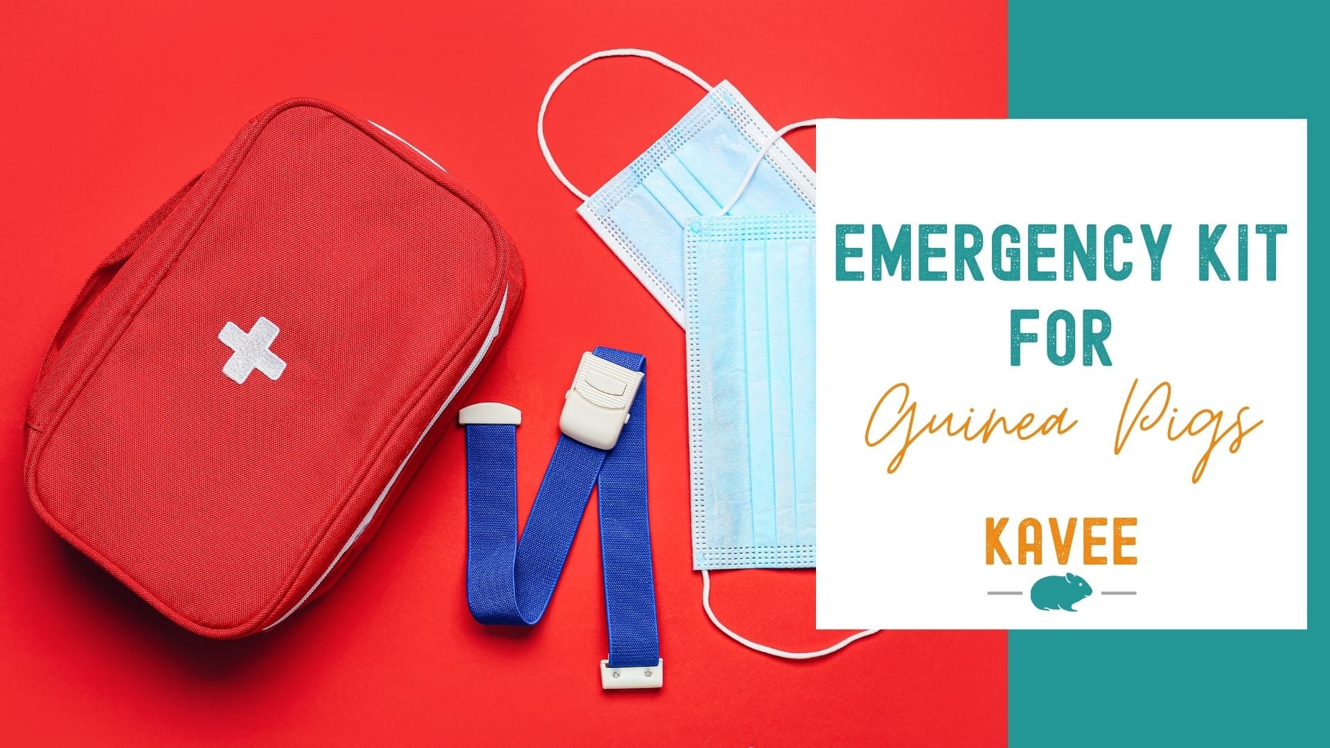 A closer look at Guinea Pig Nutrition In Short-Term Emergency