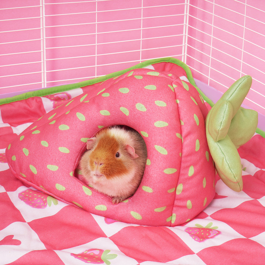 Guinea Pig Hideys