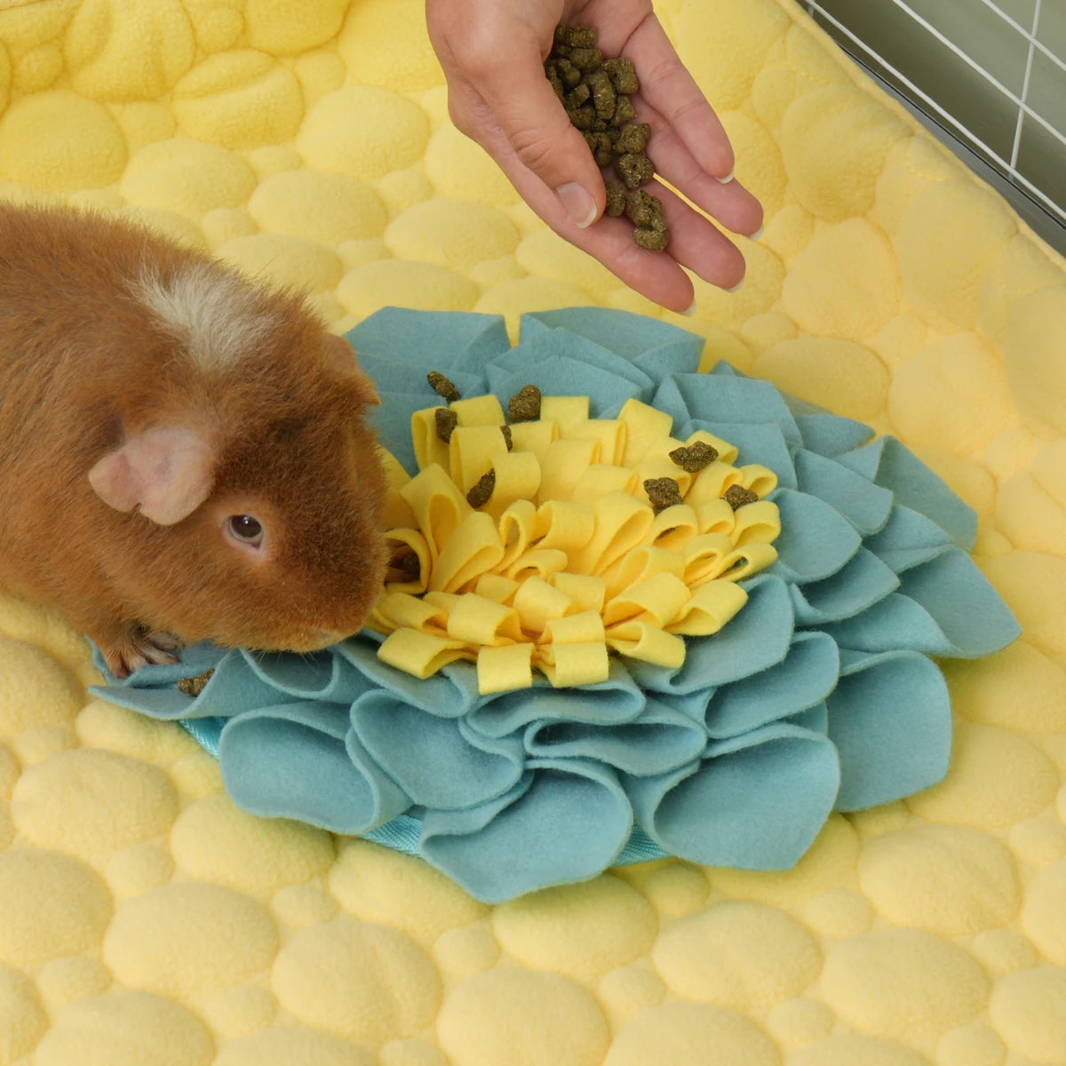 The Foraging Flower, in a guinea pig habitat