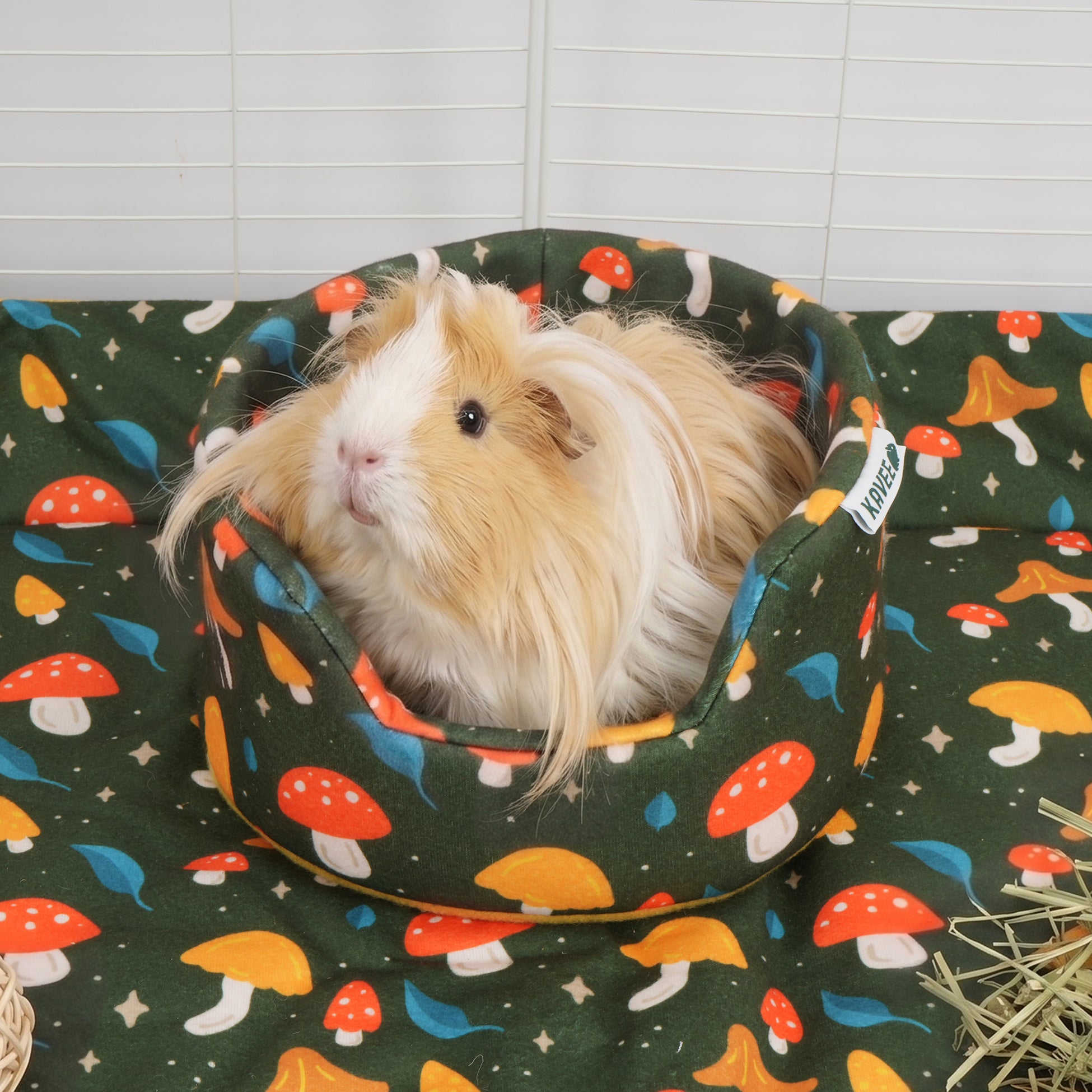 The Cuddle Cup | Mushroom Collection