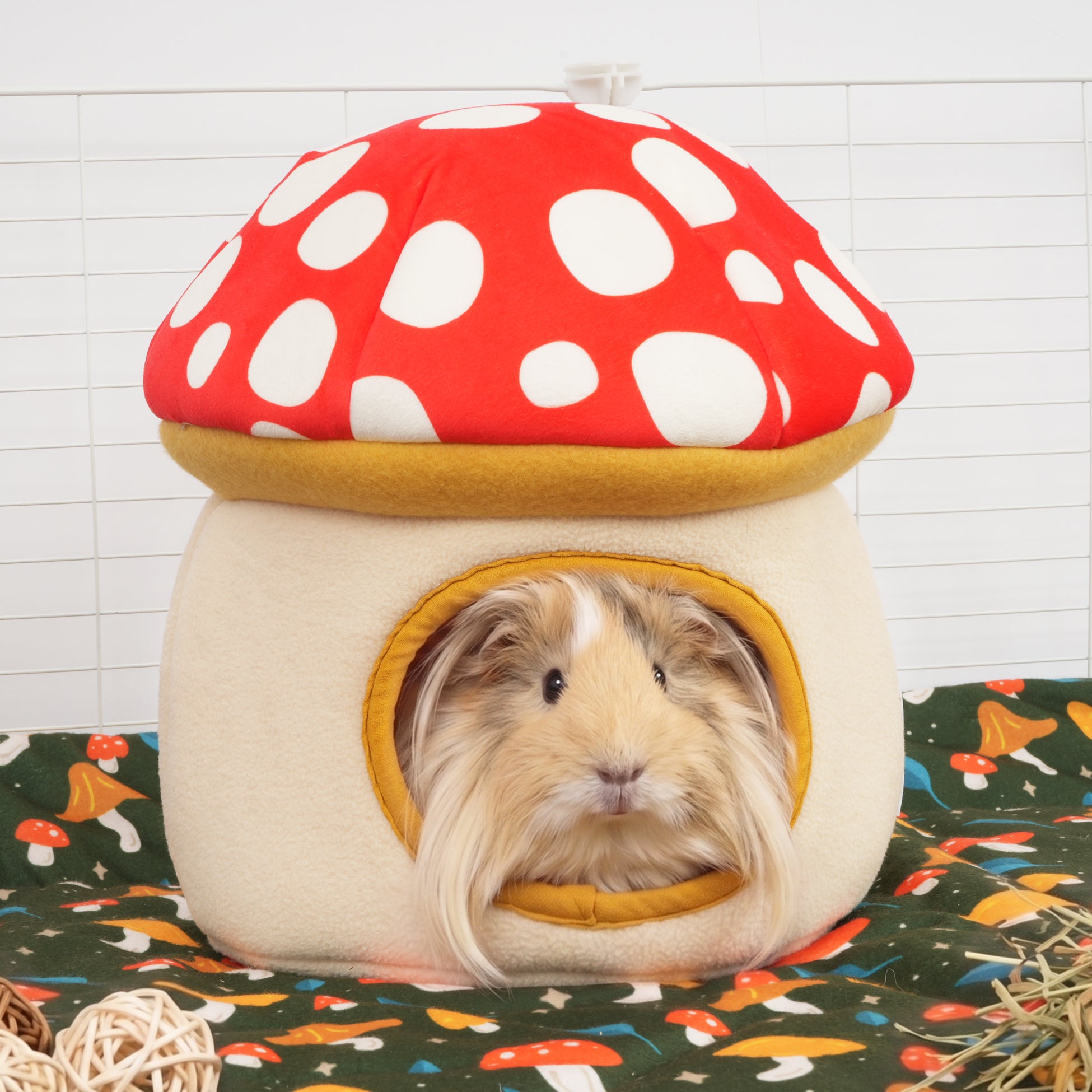 Cachette pour cochon d'Inde | Champignon