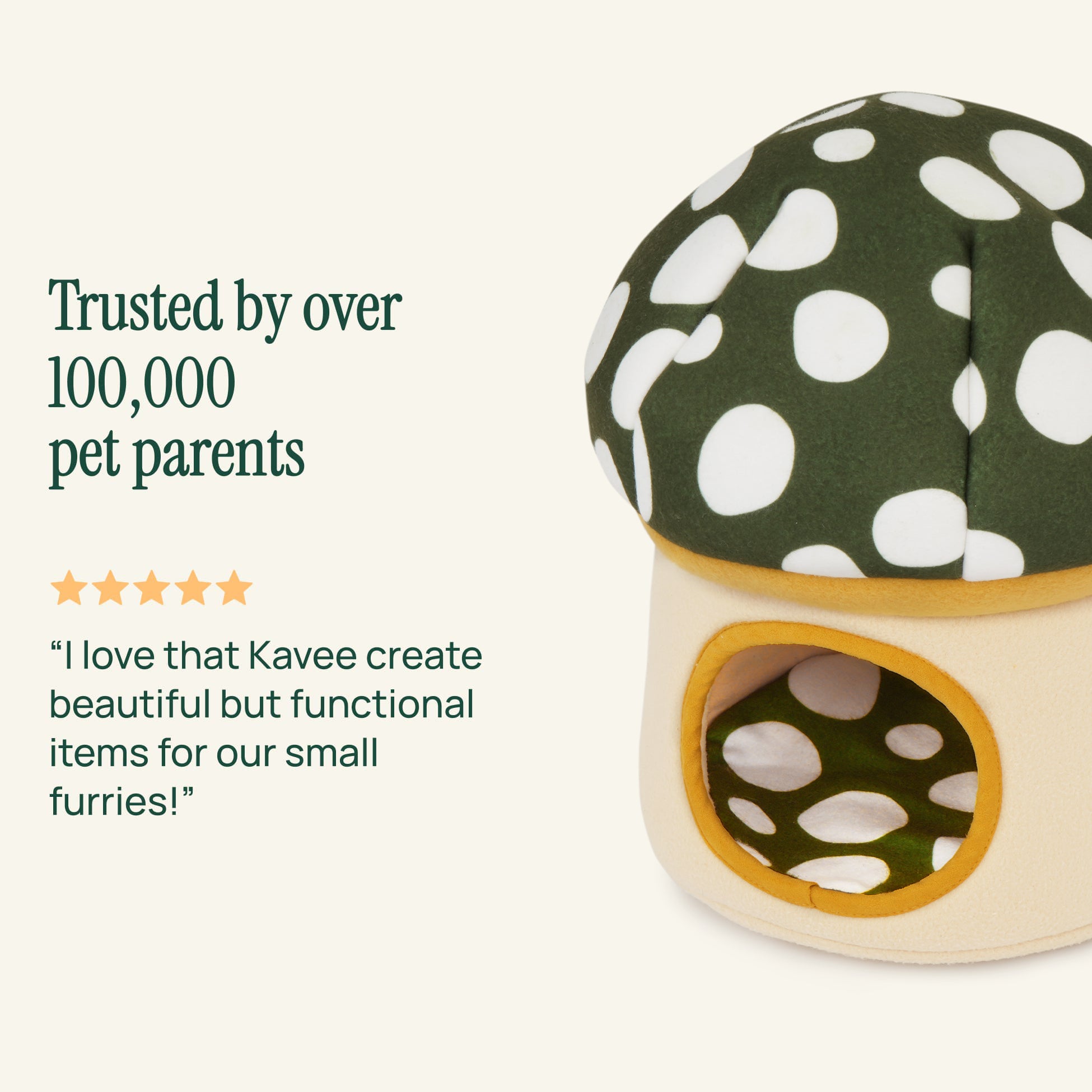 The Fungi Hide | Mushroom Collection
